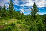 Enjoy this forested quintessential Montana home 
